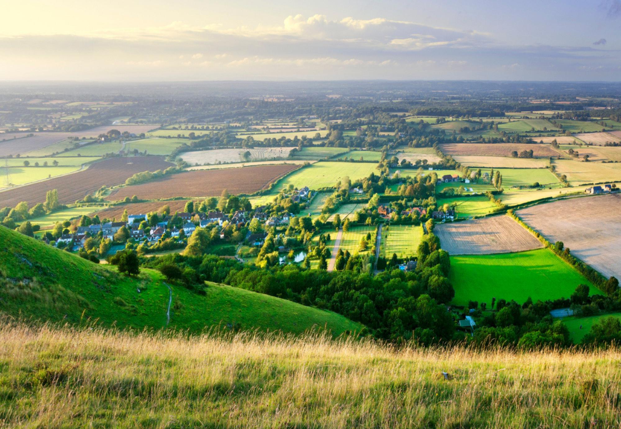 The importance of protecting green belt land | Public Sector News