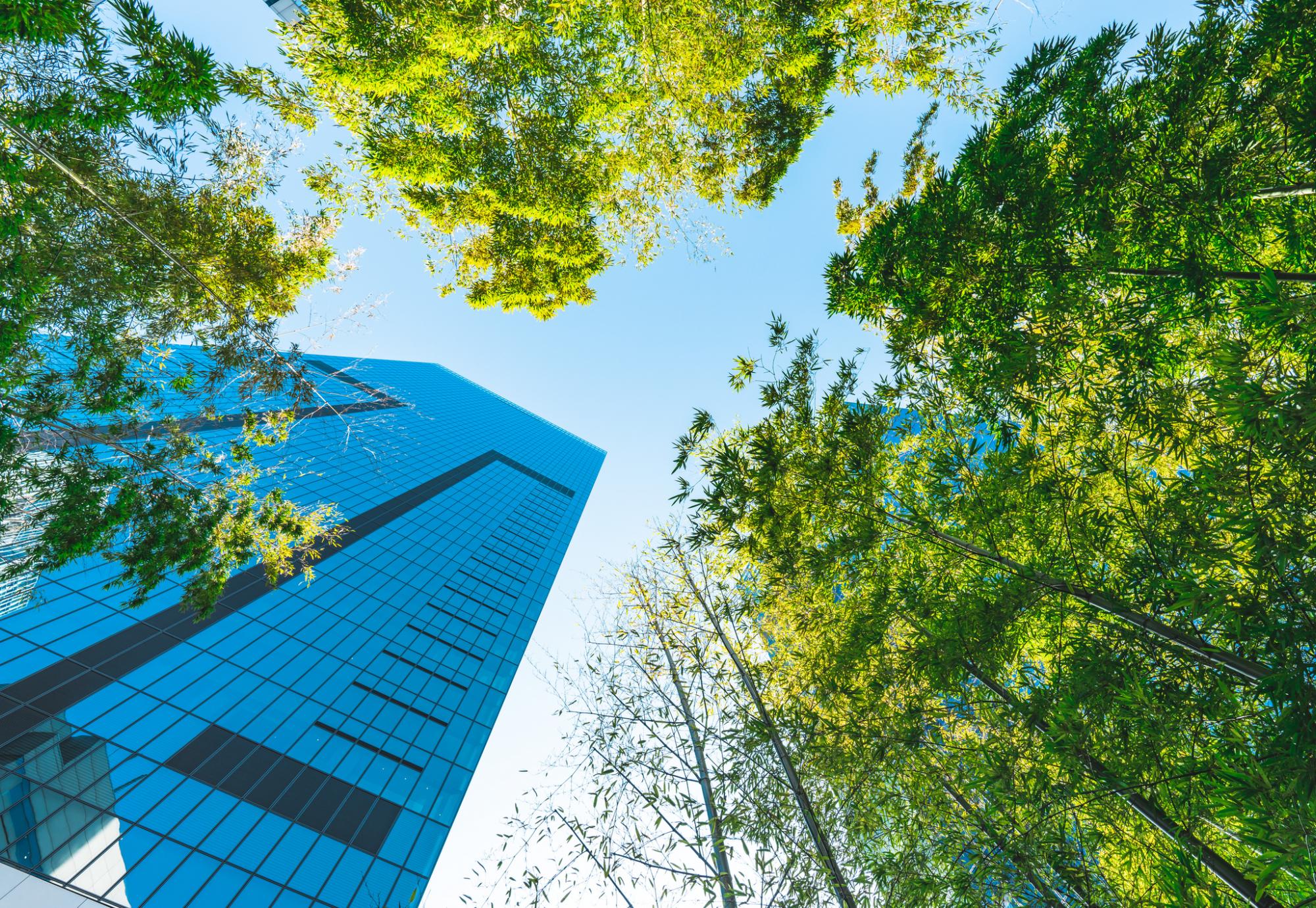 Trees and Towers