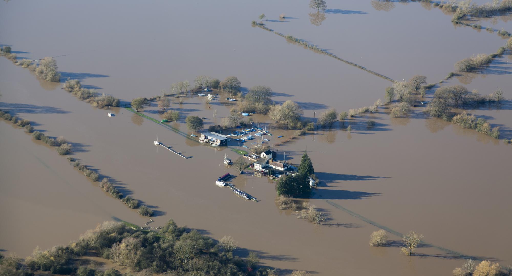 Flooded fields