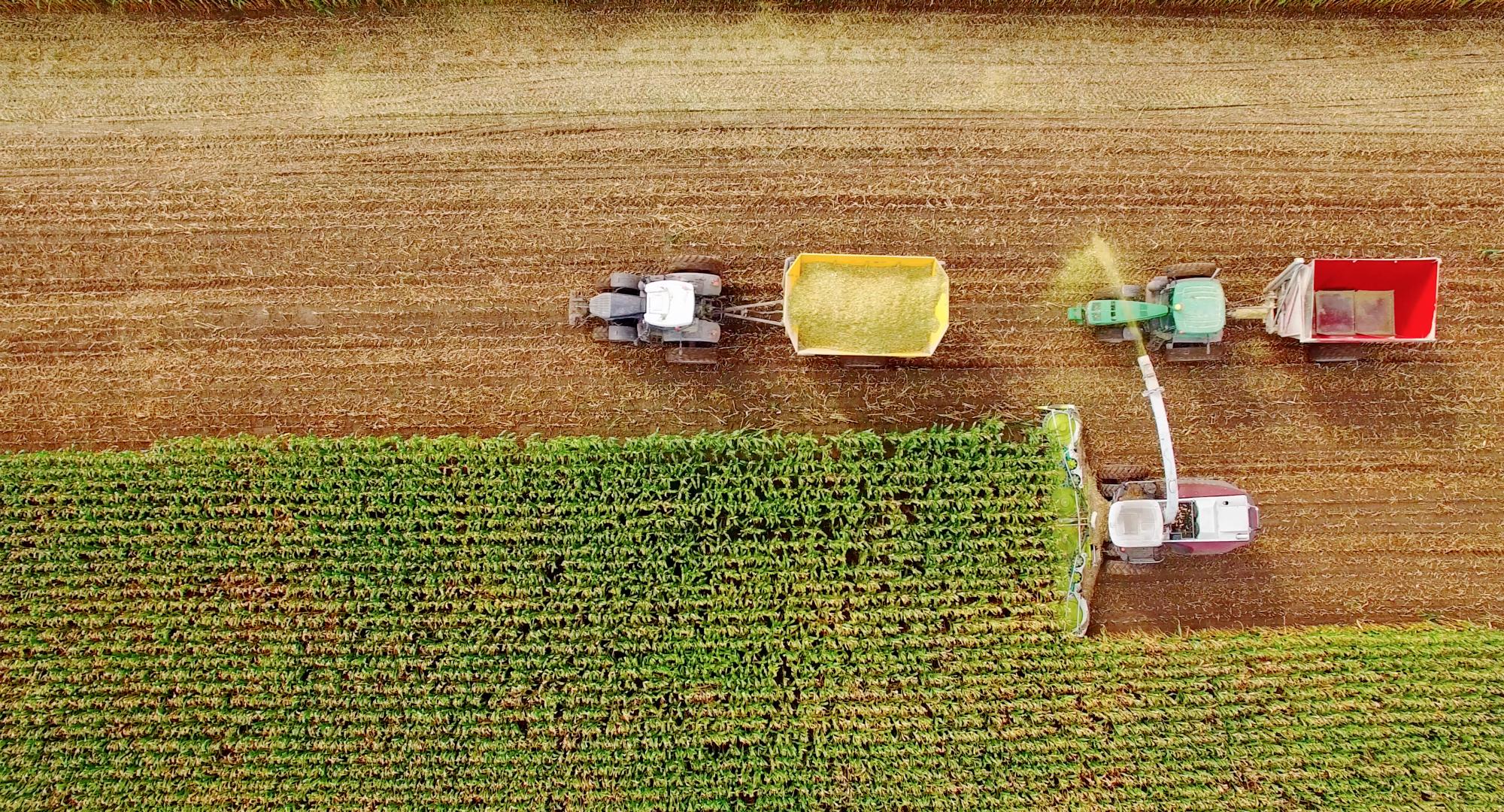 Farm machines harvesting corn in Midwest, September, aerial view.