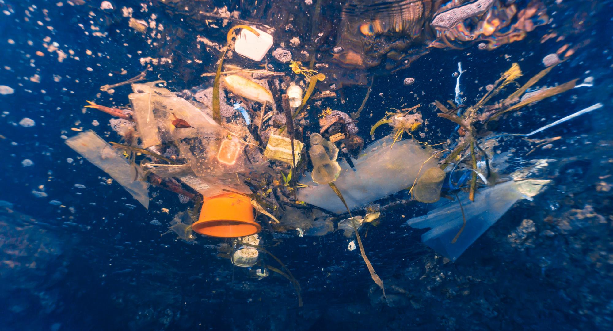 Discarded single use plastic drifts in the ocean.