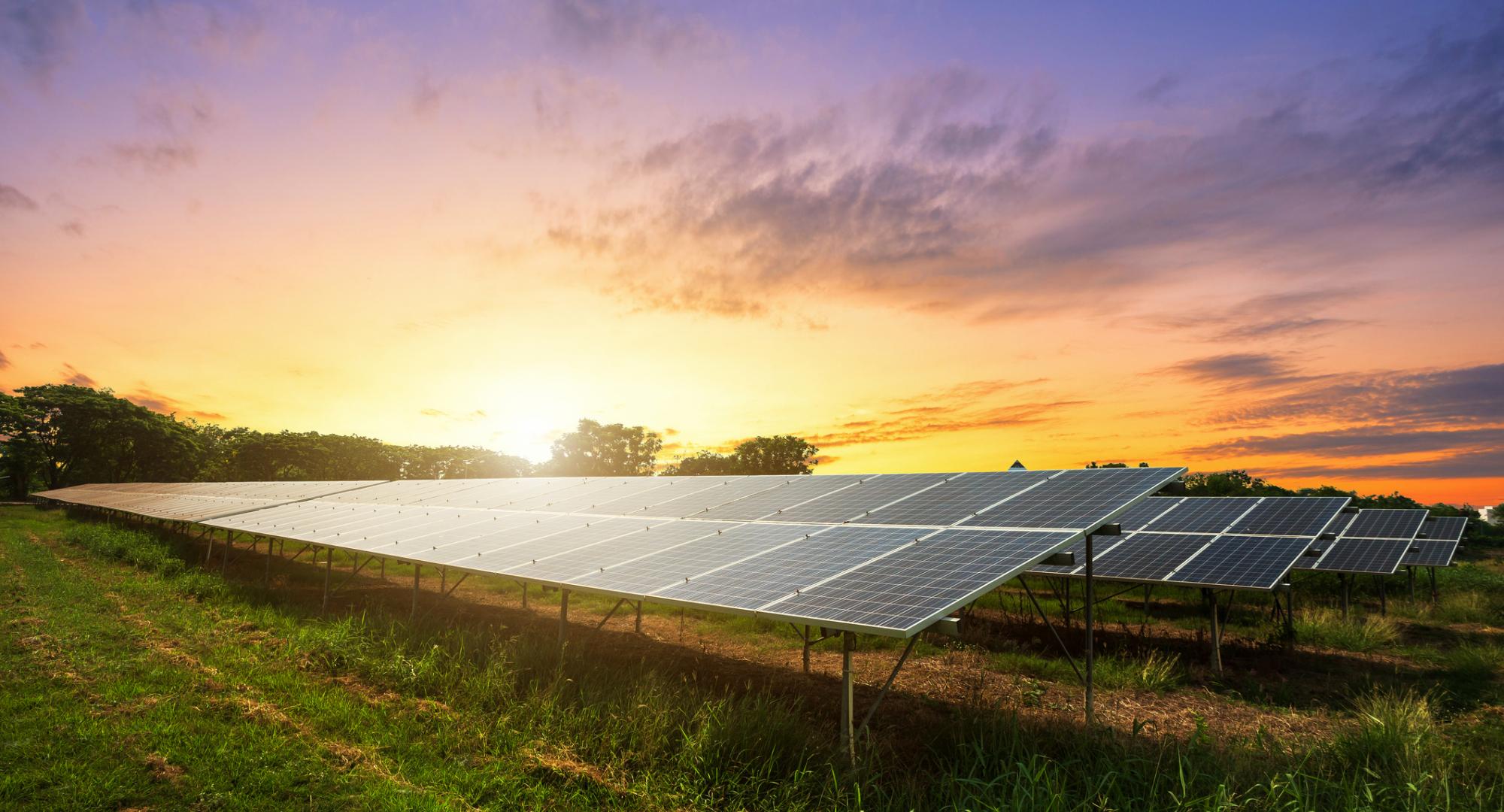 Solar farm glinting in the sunlight