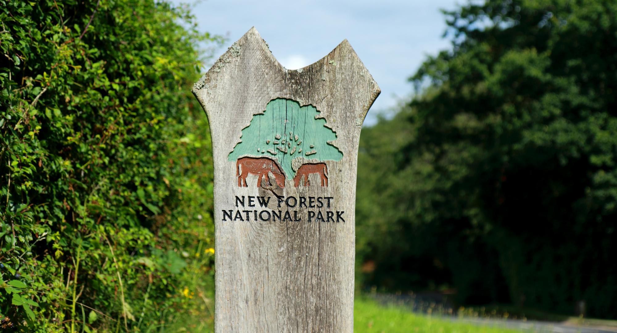 New Forest National Park sign