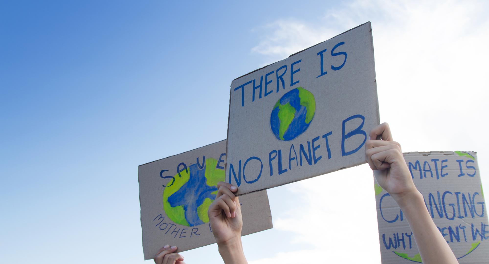 Climate change protestors