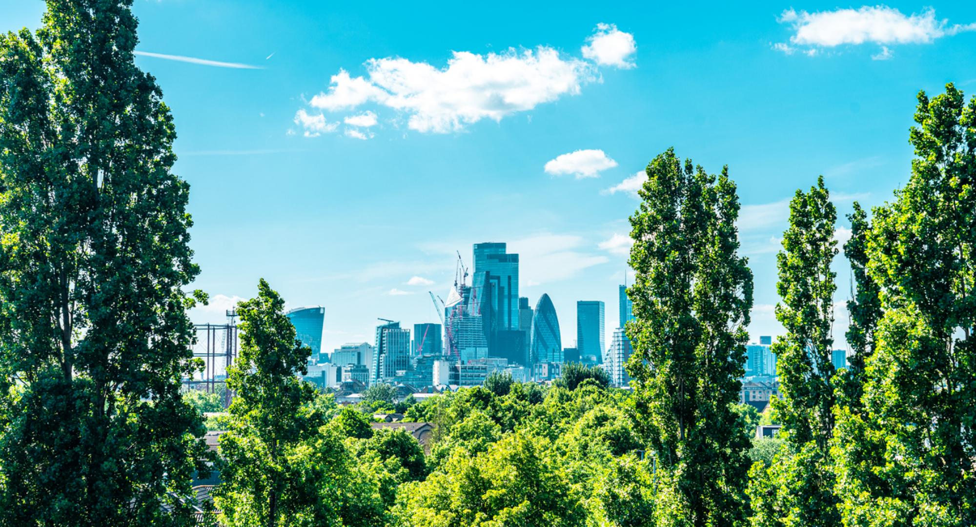 View of the City of London skyline through some trees