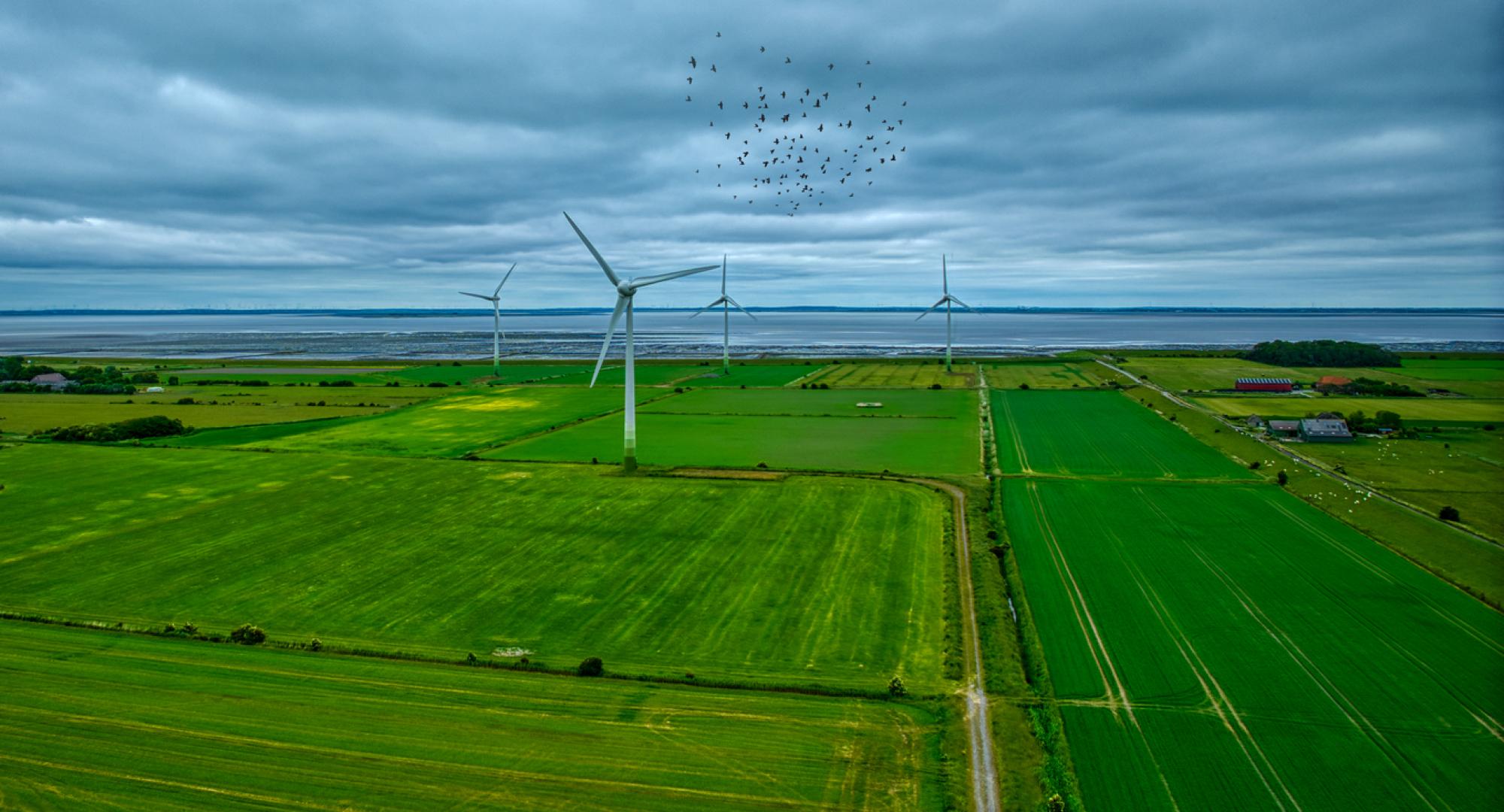 Wind turbines in the countryside