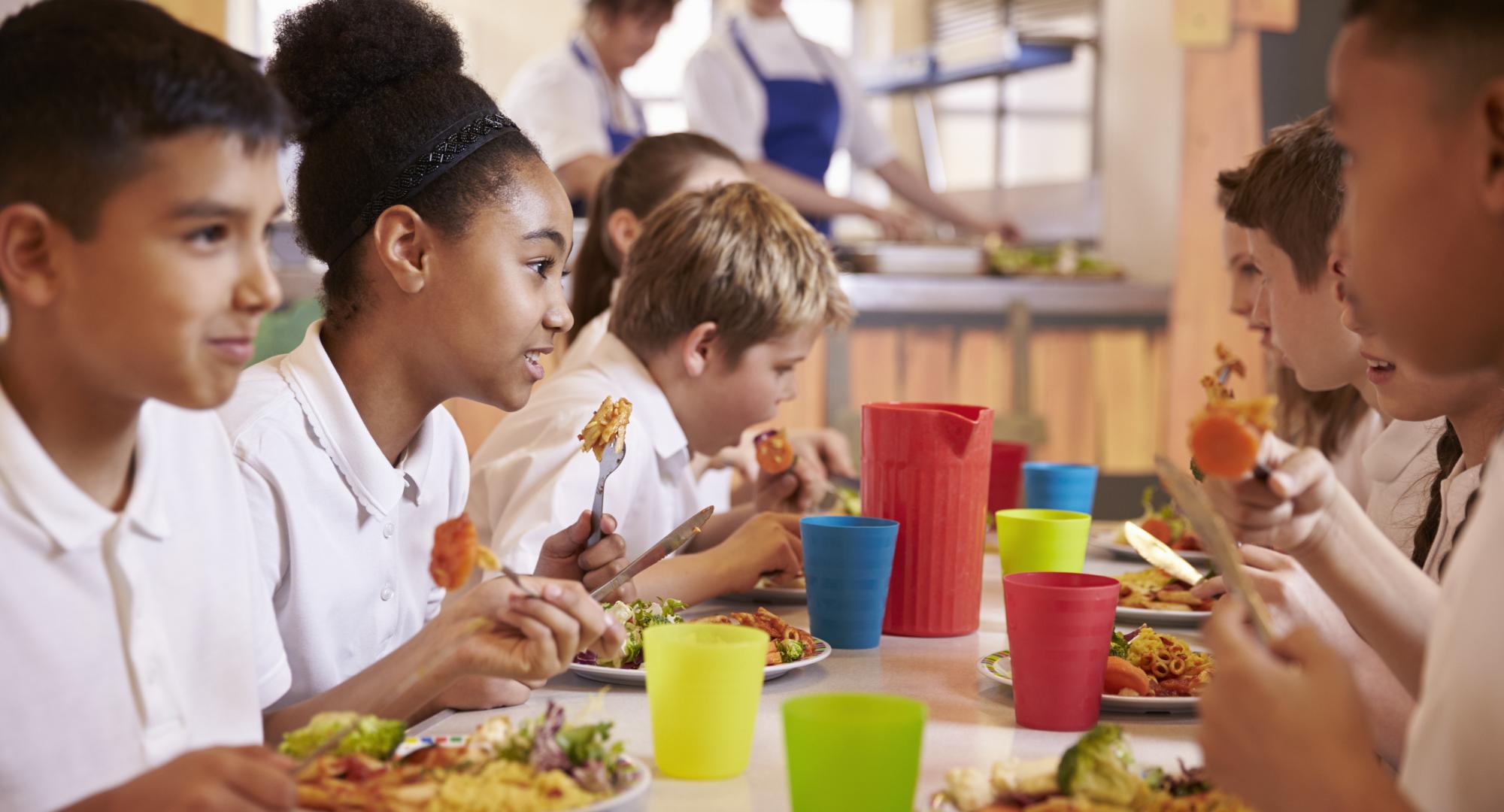 Primary school children eat lunch in school cafeteria