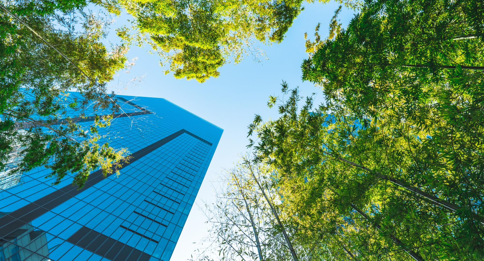 Trees and Towers