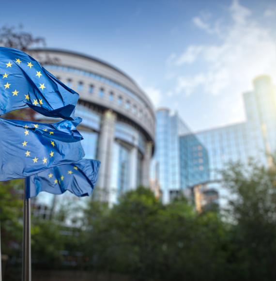 European union flag against parliament in Brussels