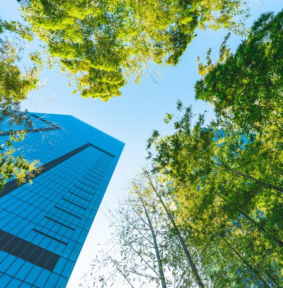 Trees and Towers